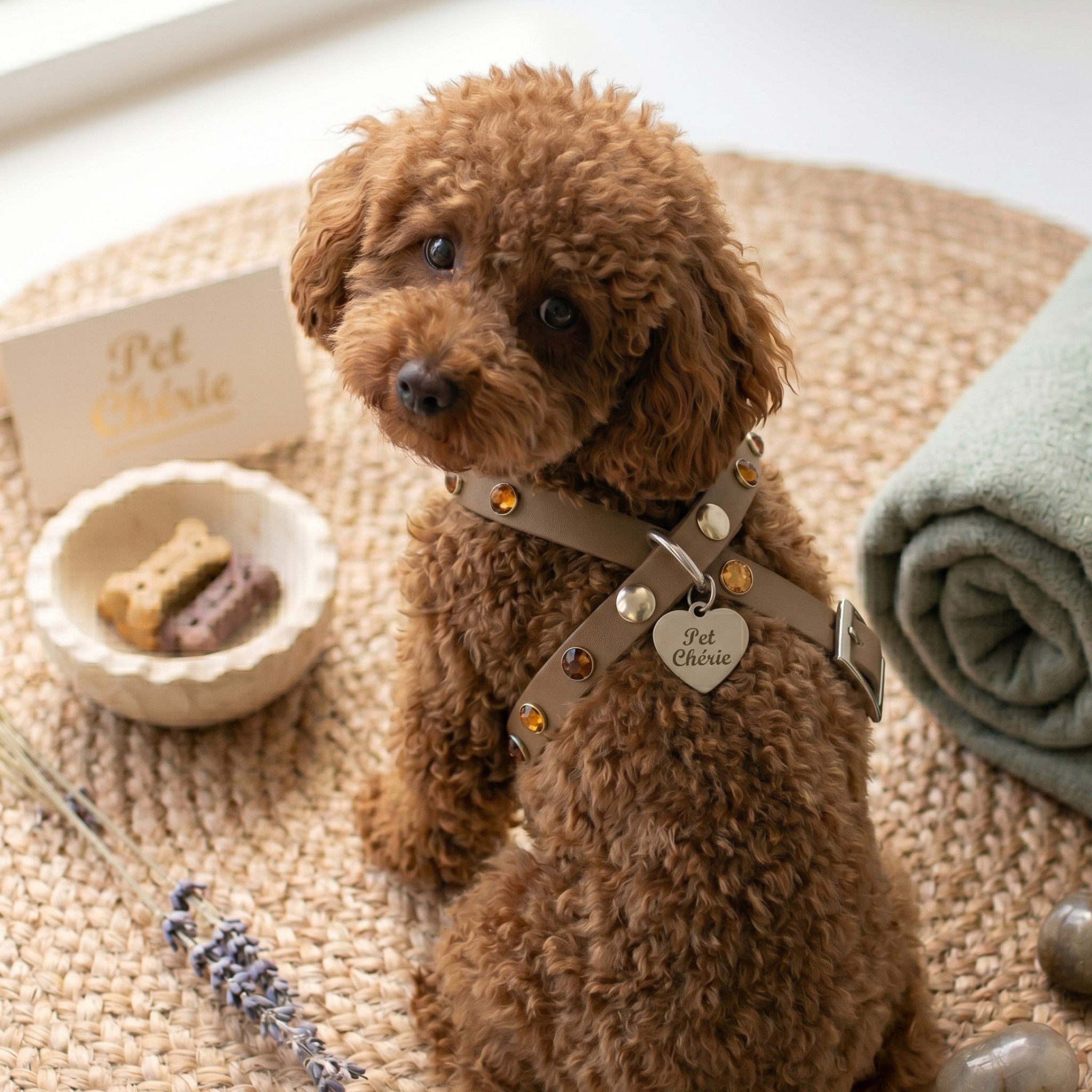 Pettorina Biothane Cabochon Marrone per Cani